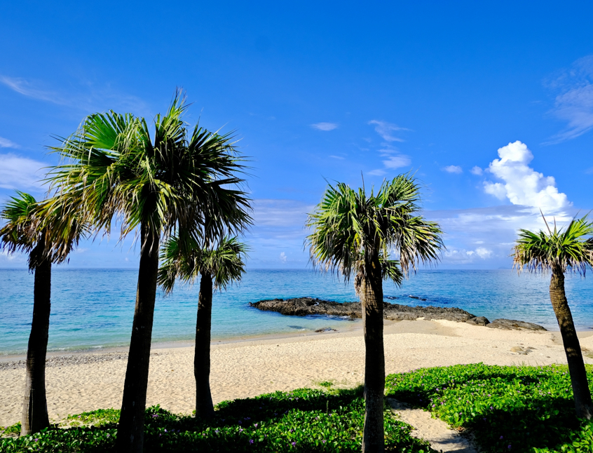 用安海岸