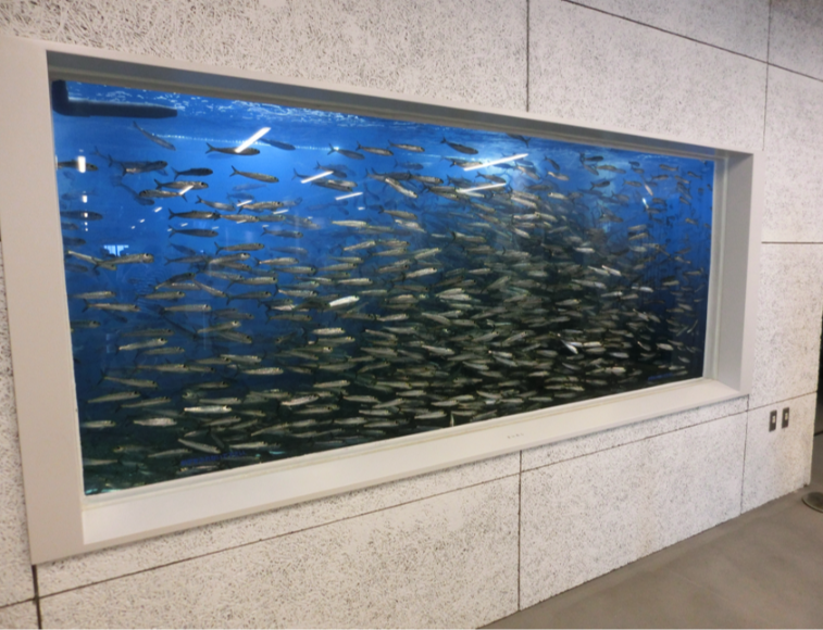 海の駅九十九里