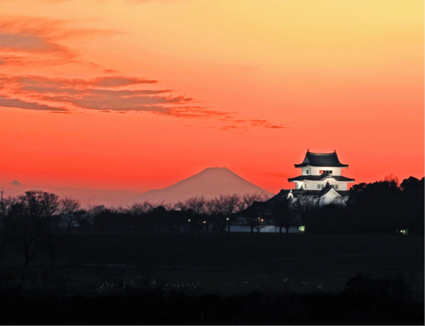 関宿城博物館と富士山