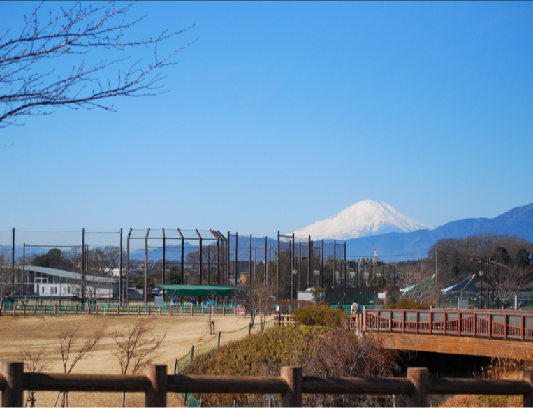 大和ゆとりの森