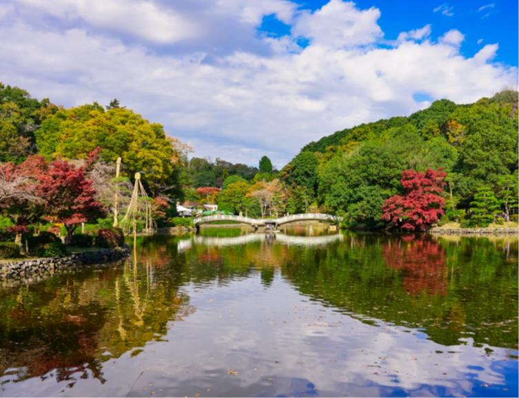 薬師池公園
