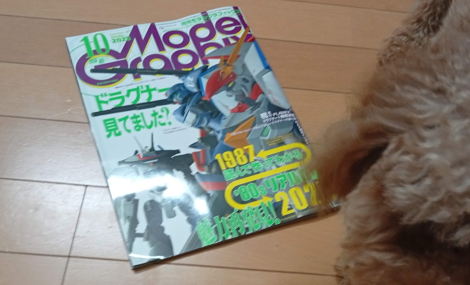 写真1