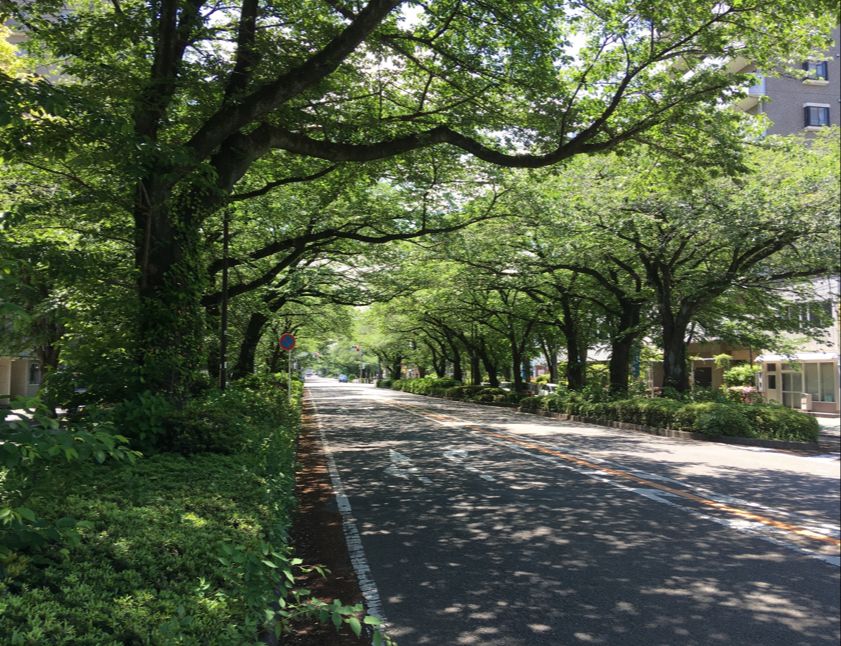 相模原市