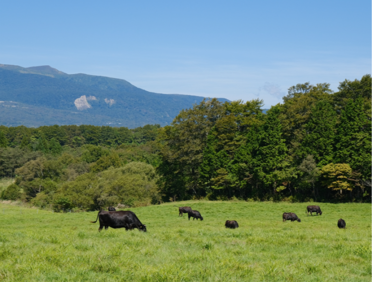 深山牧野
